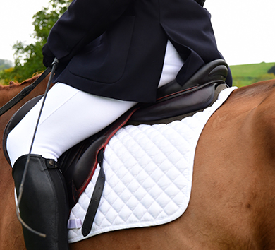 Creative Outdoor Products - Equestrian Sports