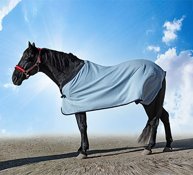 Creative Outdoor Products - Equestrian Sports
